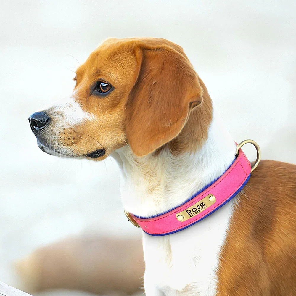Customized PU Leather Nameplate Dog Collar Free Engraving - BarkHatch