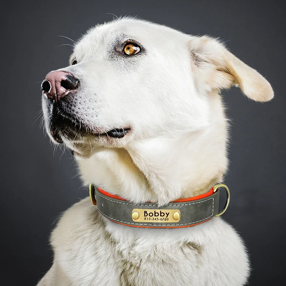 Customized PU Leather Nameplate Dog Collar Free Engraving - BarkHatch