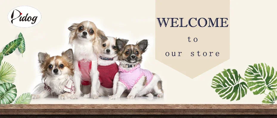 Customized PU Leather Nameplate Dog Collar Free Engraving - BarkHatch