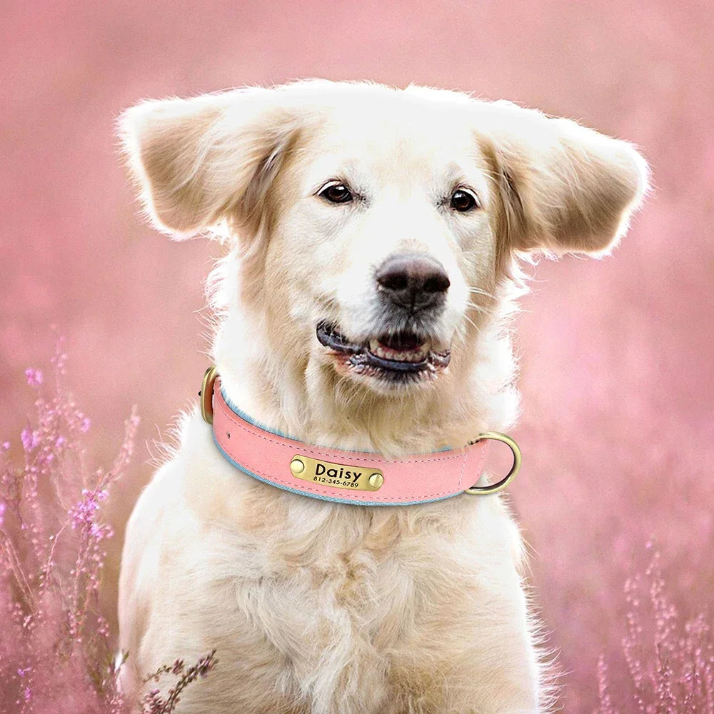 Customized PU Leather Nameplate Dog Collar Free Engraving - BarkHatch