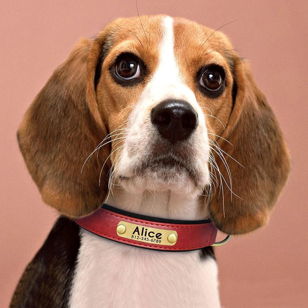 Customized PU Leather Nameplate Dog Collar Free Engraving - BarkHatch