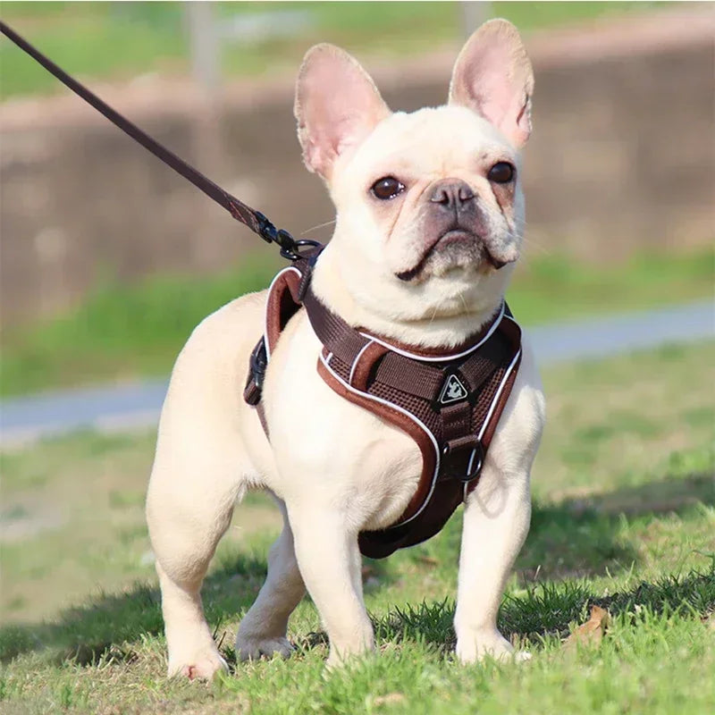 No Pull Dog Harness And Leash Set Reflective Mesh Vest - BarkHatch