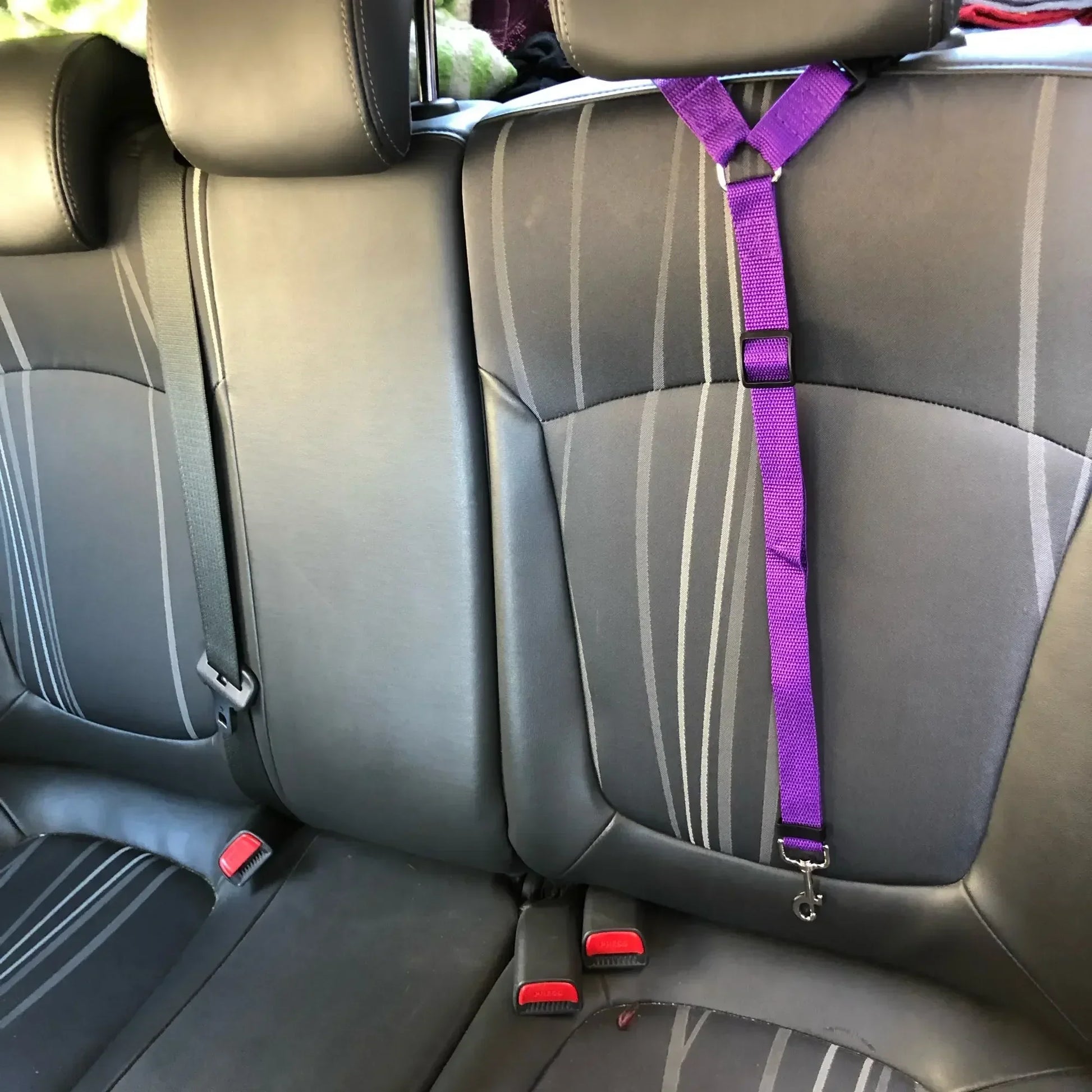 Solid Color Two In One Pet Car Seat Belt Nylon Leash - BarkHatch