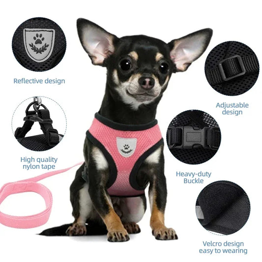 Breathable Mesh Pet Harness Reflective Leash Adjustable Small Dogs Cats - BarkHatch