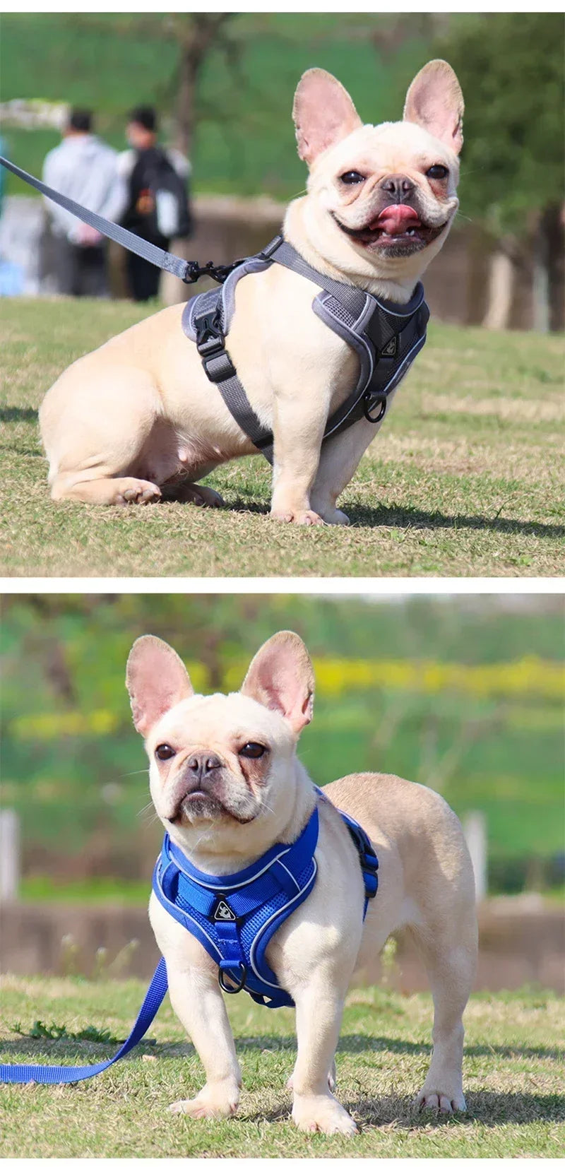 No Pull Dog Harness And Leash Set Reflective Mesh Vest - BarkHatch