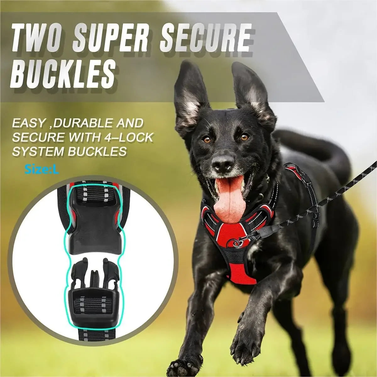 No-Pull Dog Harness for Large Dogs – Heavy Duty & Reflective | BarkHatch - BarkHatch