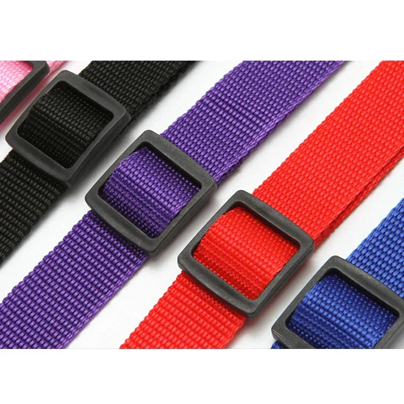 Solid Color Two In One Pet Car Seat Belt Nylon Leash - BarkHatch