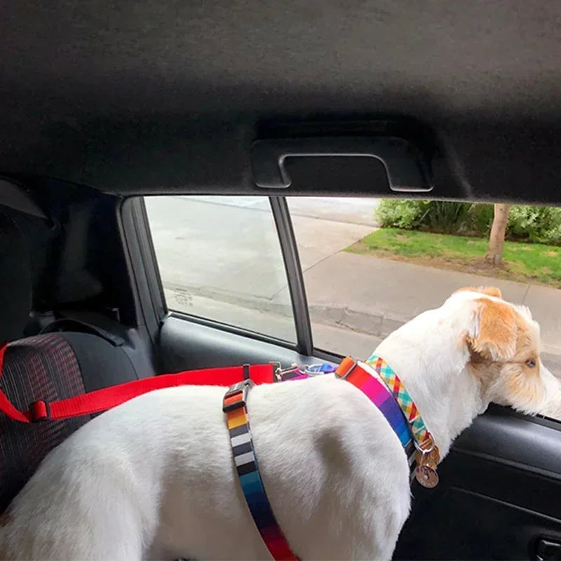 Solid Color Two In One Pet Car Seat Belt Nylon Leash - BarkHatch