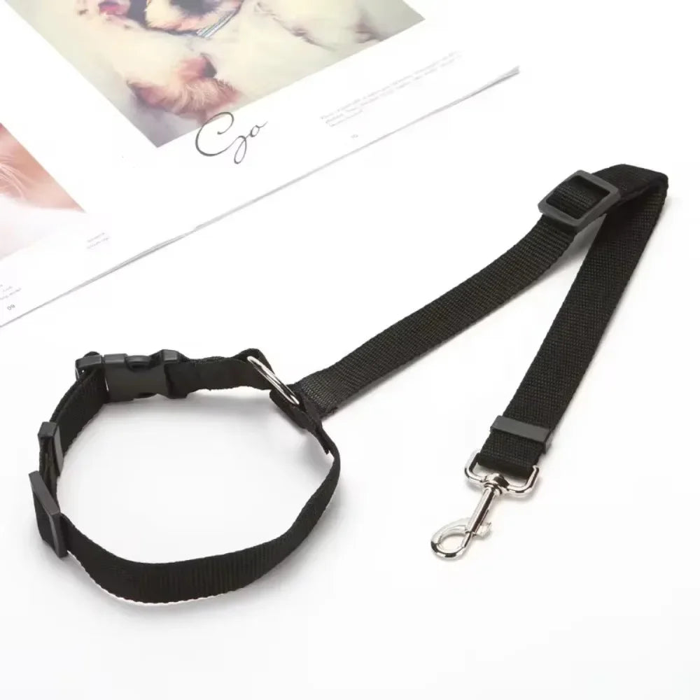 Solid Color Two In One Pet Car Seat Belt Nylon Leash - BarkHatch
