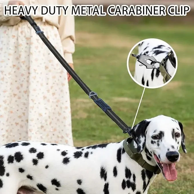 Reflective Shock Absorbing Dog Leash w/ Car Seatbelt Clip - BarkHatch