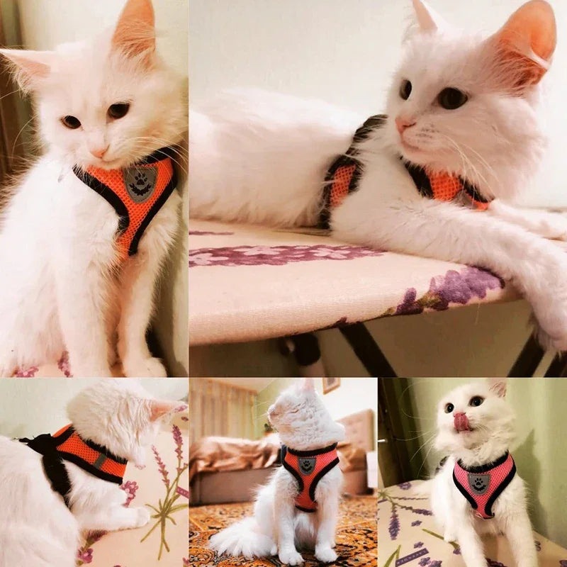 Breathable Mesh Pet Harness Reflective Leash Adjustable Small Dogs Cats - BarkHatch