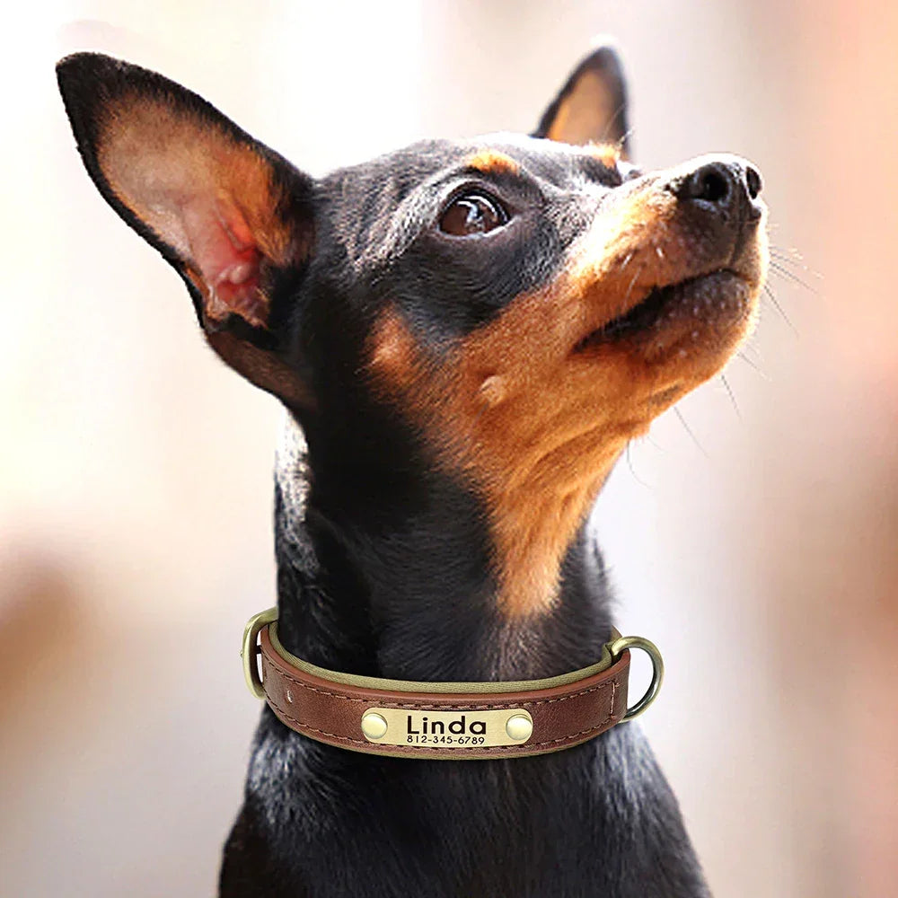 Customized PU Leather Nameplate Dog Collar Free Engraving - BarkHatch