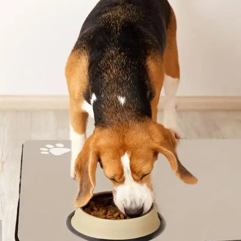 Non Slip Pet Food Placemat Waterproof Feeding Mat For Dogs - BarkHatch