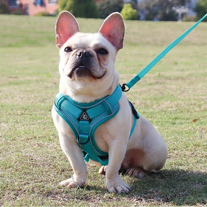 No Pull Dog Harness And Leash Set Reflective Mesh Vest - BarkHatch