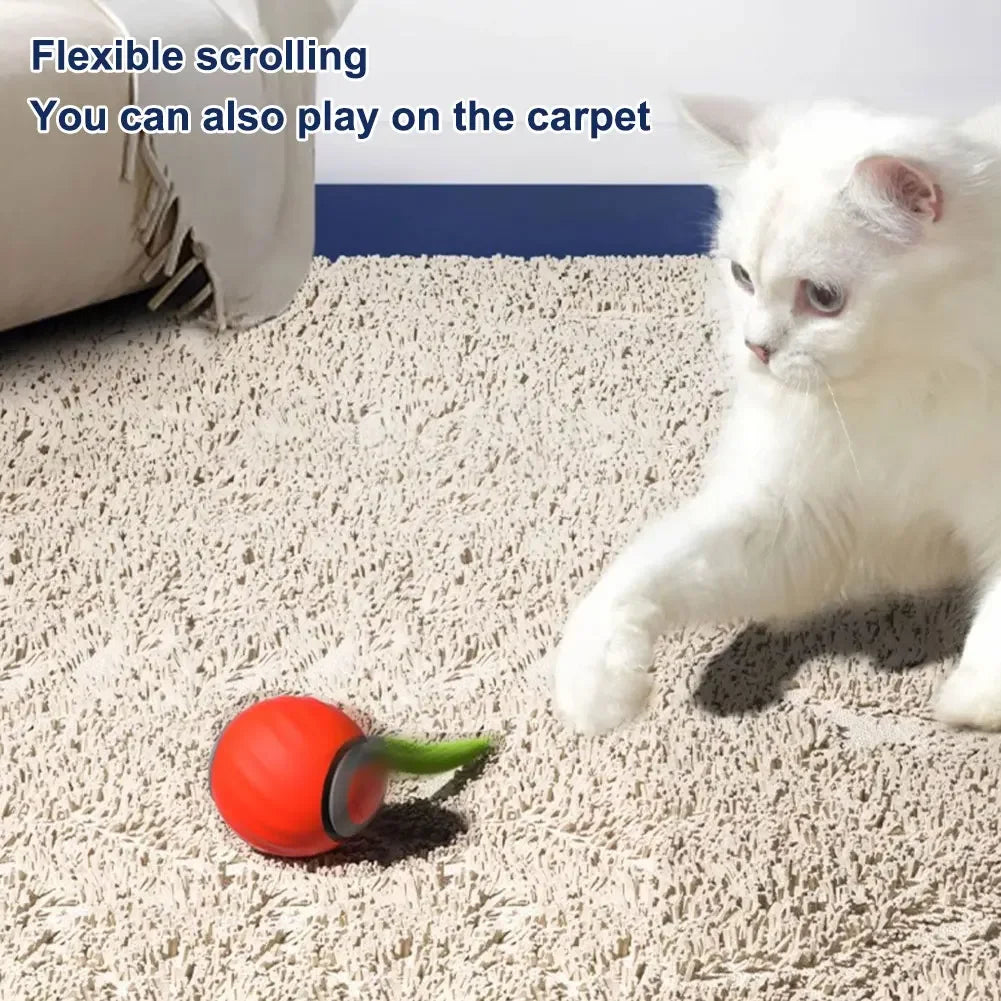 Automatic Moving Cat Toy Ball With Two Speed USB Tail - BarkHatch