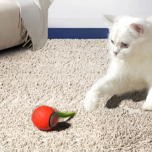 Automatic Moving Cat Toy Ball With Two Speed USB Tail - BarkHatch