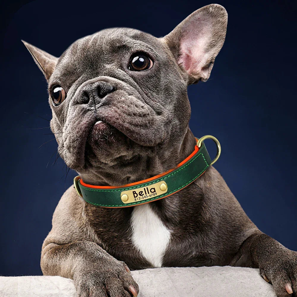 Customized PU Leather Nameplate Dog Collar Free Engraving - BarkHatch
