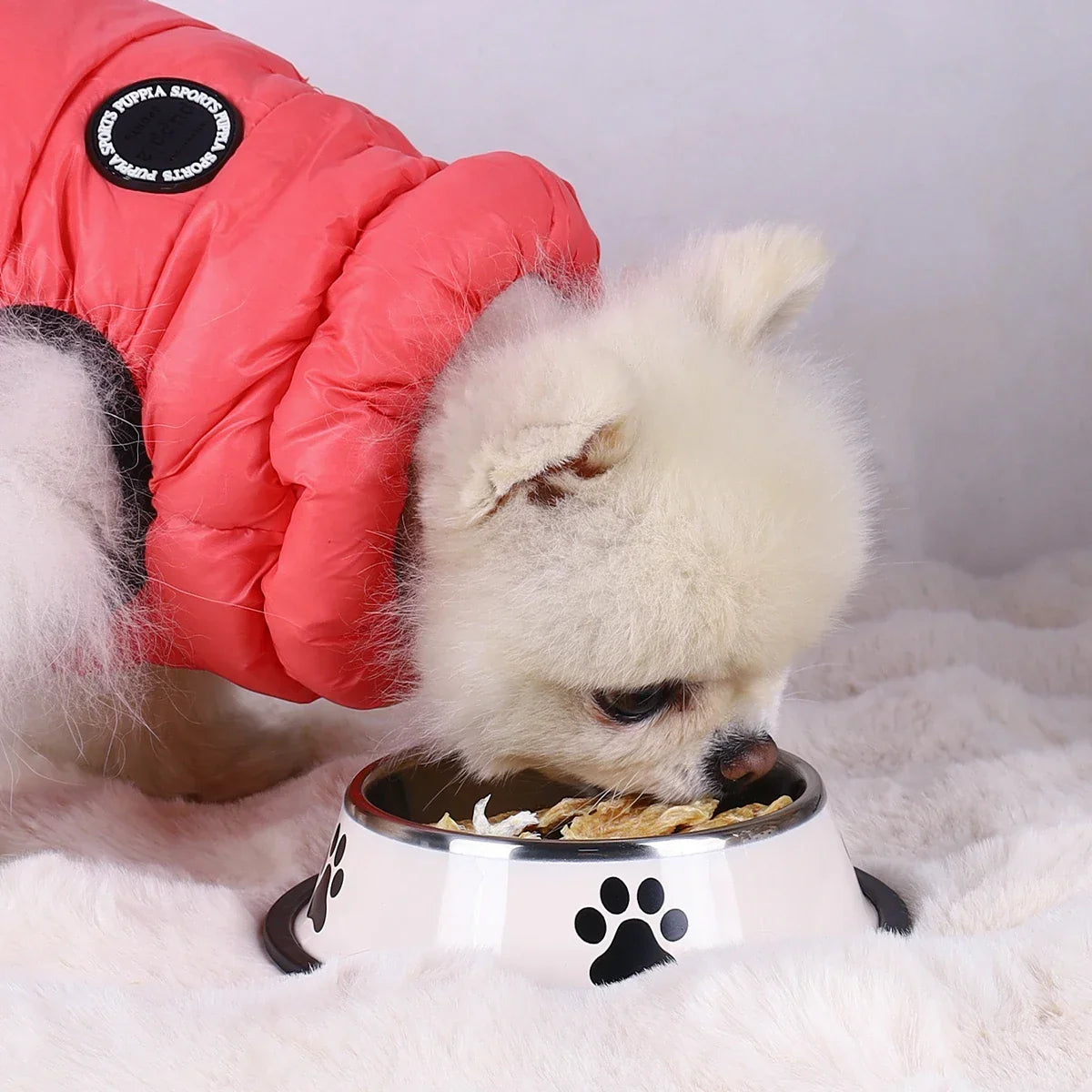 1PC Stainless Steel Pet Bowl Cat Bowl Dog Food Bowl Multi-Specification Anti-fall Food Bowl Food Bowl Feeding Pet Supplies - BarkHatch