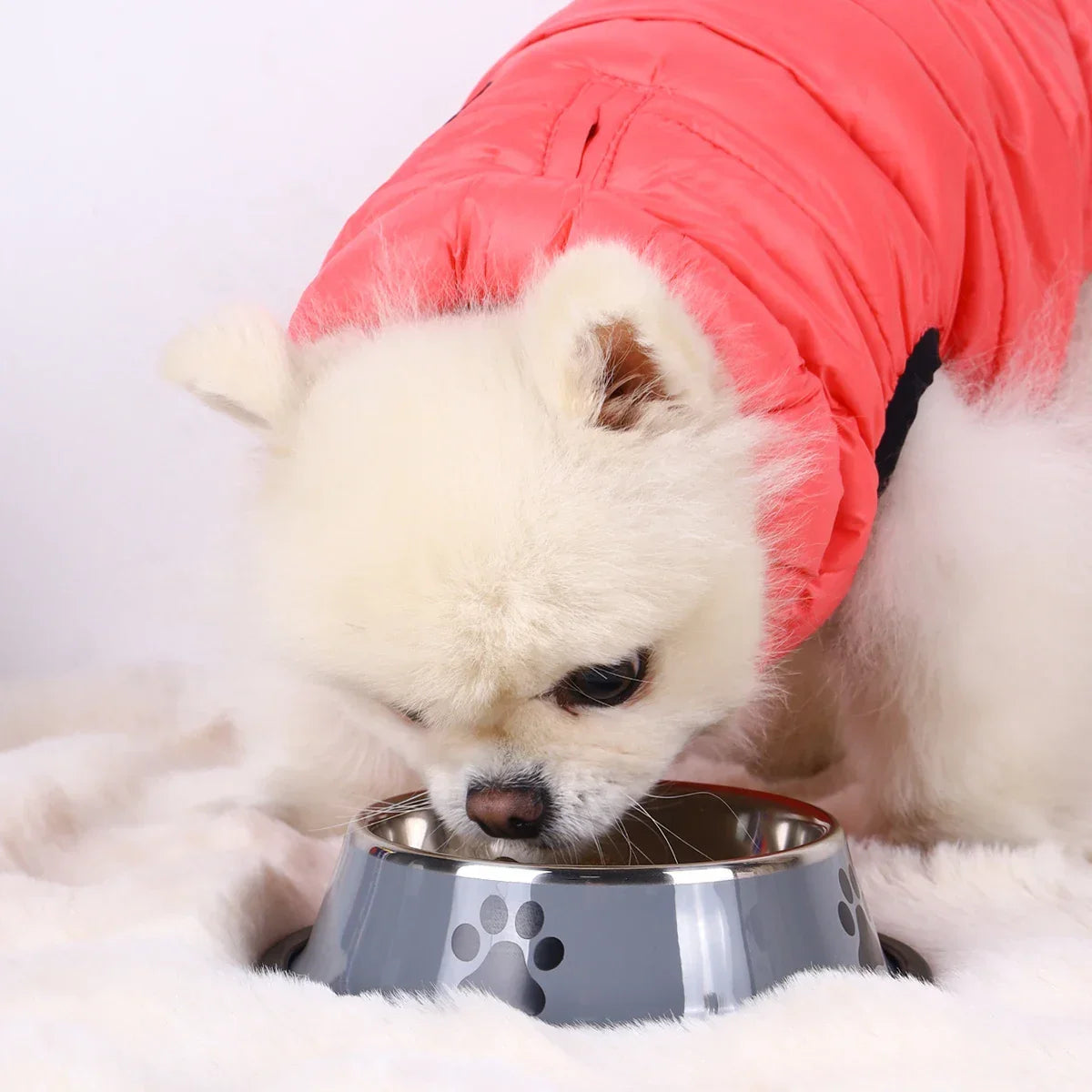 1PC Stainless Steel Pet Bowl Cat Bowl Dog Food Bowl Multi-Specification Anti-fall Food Bowl Food Bowl Feeding Pet Supplies - BarkHatch