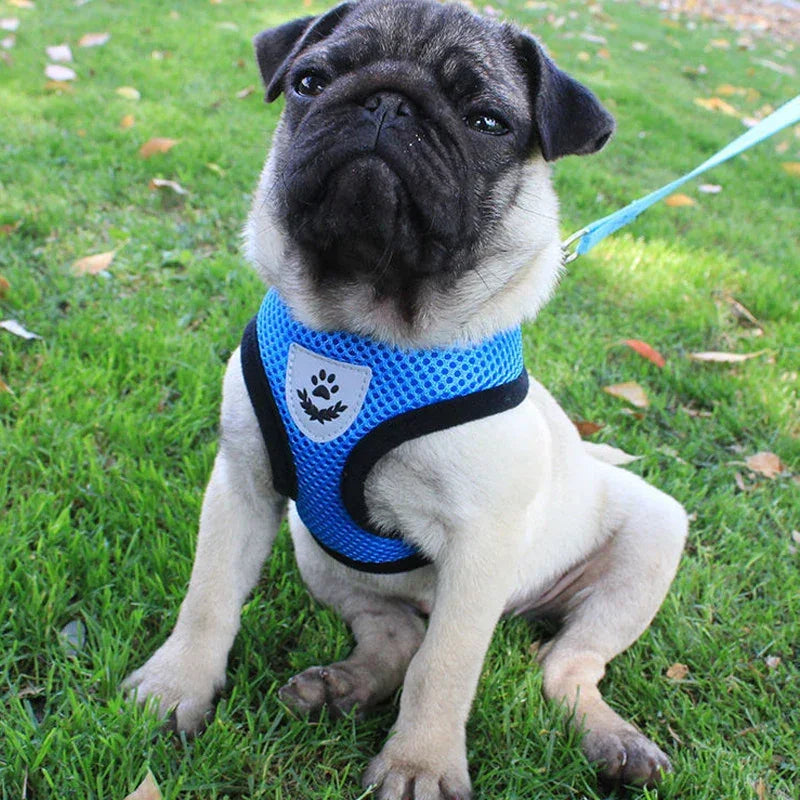 Breathable Mesh Pet Harness Reflective Leash Adjustable Small Dogs Cats - BarkHatch