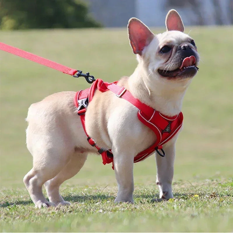 No Pull Dog Harness And Leash Set Reflective Mesh Vest - BarkHatch