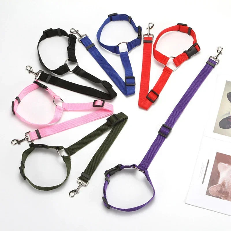 Solid Color Two In One Pet Car Seat Belt Nylon Leash - BarkHatch