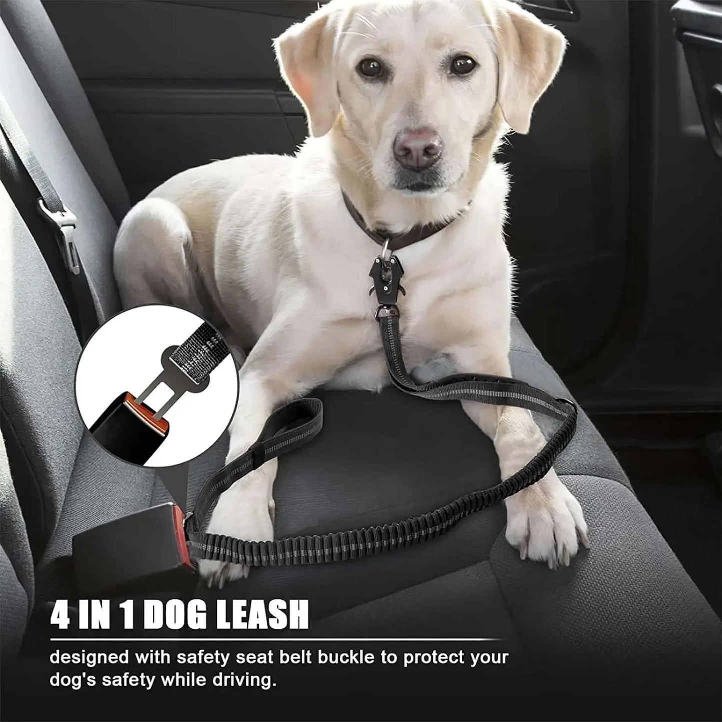 Reflective Shock Absorbing Dog Leash w/ Car Seatbelt Clip - BarkHatch