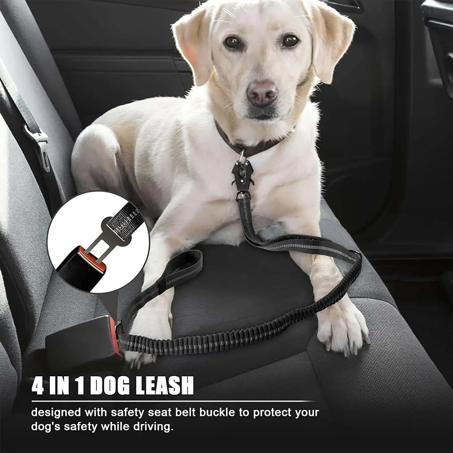 Reflective Shock Absorbing Dog Leash w/ Car Seatbelt Clip - BarkHatch