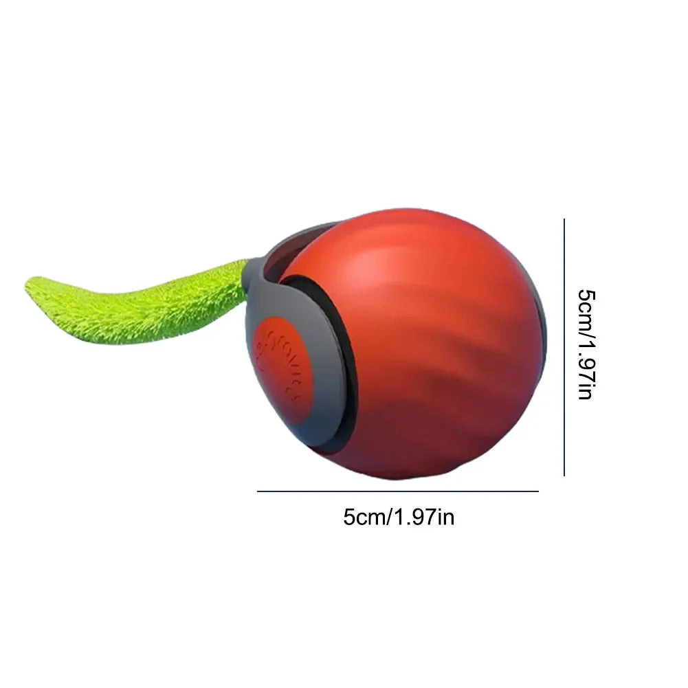 Automatic Moving Cat Toy Ball With Two Speed USB Tail - BarkHatch