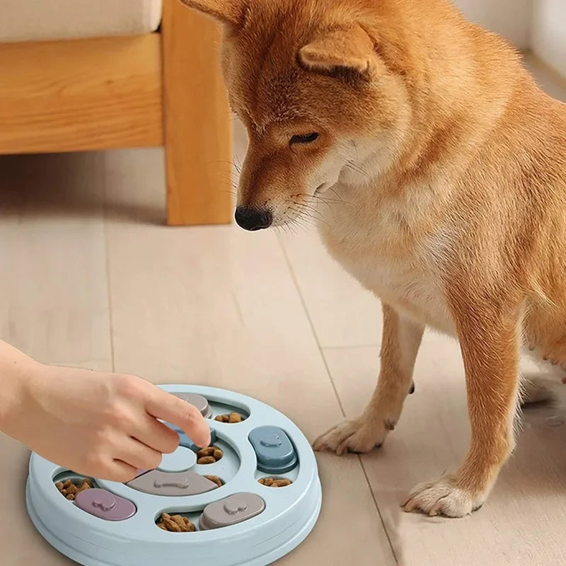 Dog Slow Feeder Interactive Toy For Educational Feeding - BarkHatch