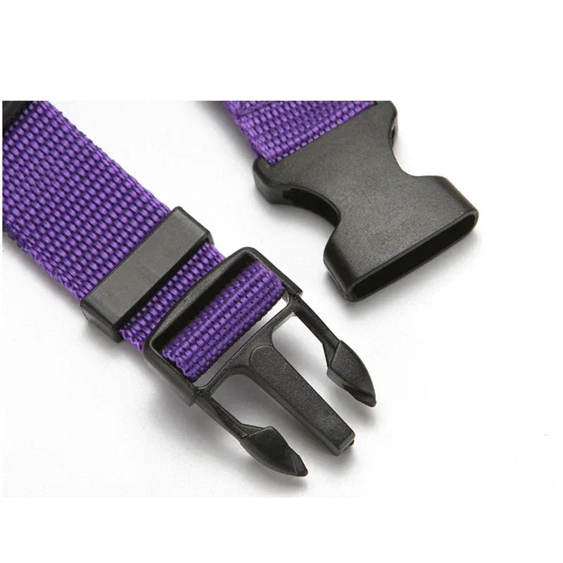 Solid Color Two In One Pet Car Seat Belt Nylon Leash - BarkHatch