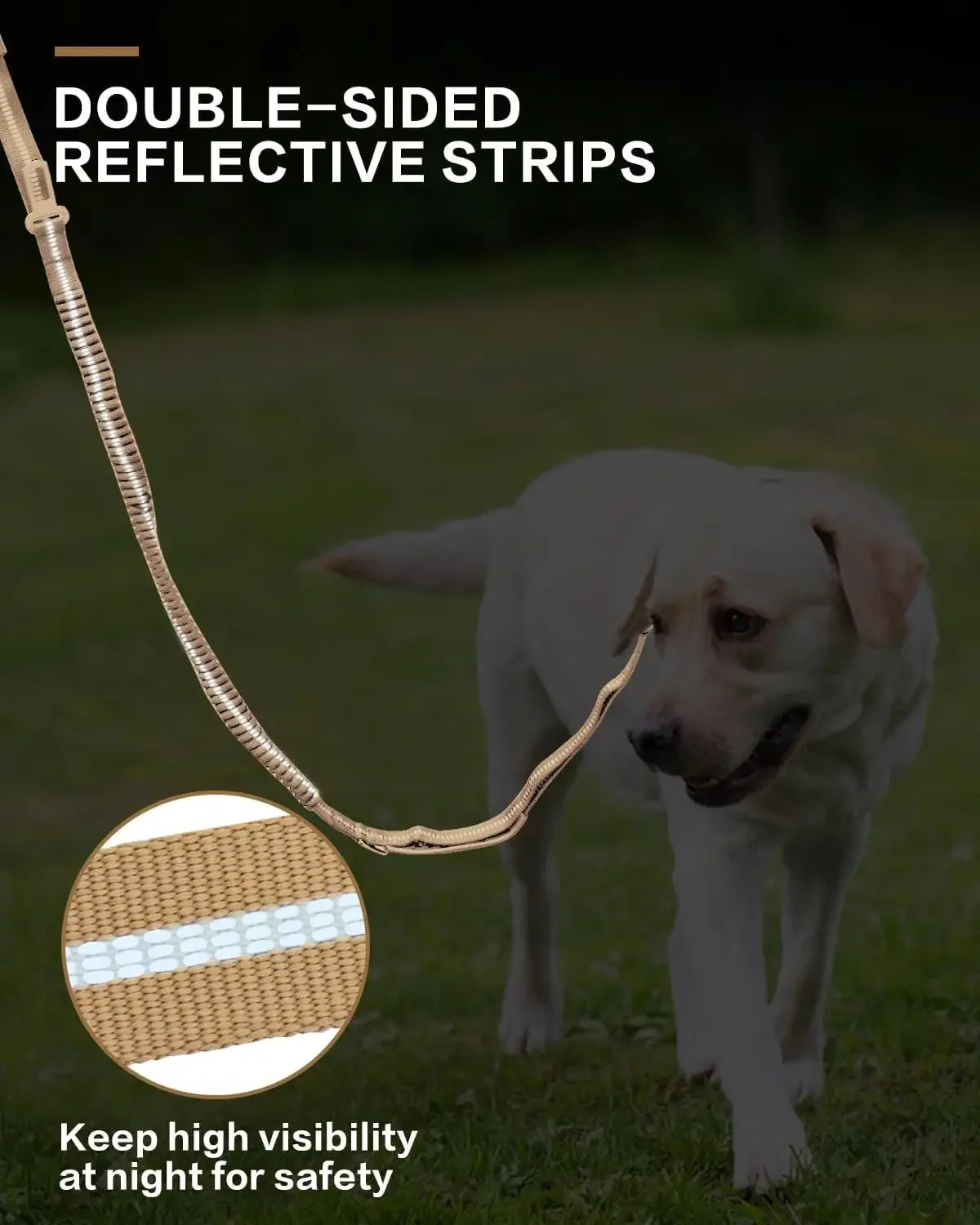 Reflective Shock Absorbing Dog Leash w/ Car Seatbelt Clip - BarkHatch