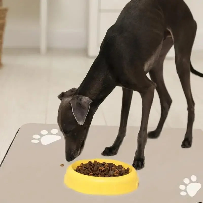 Non Slip Pet Food Placemat Waterproof Feeding Mat For Dogs - BarkHatch