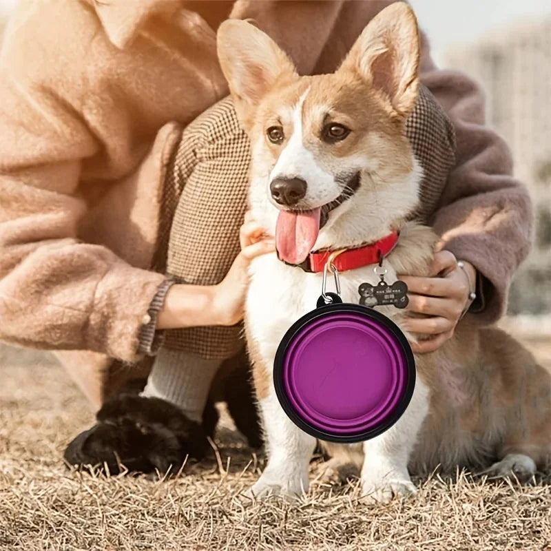 Portable Pet Food Bowl Durable TPR Collapsible Travel Bowl - BarkHatch