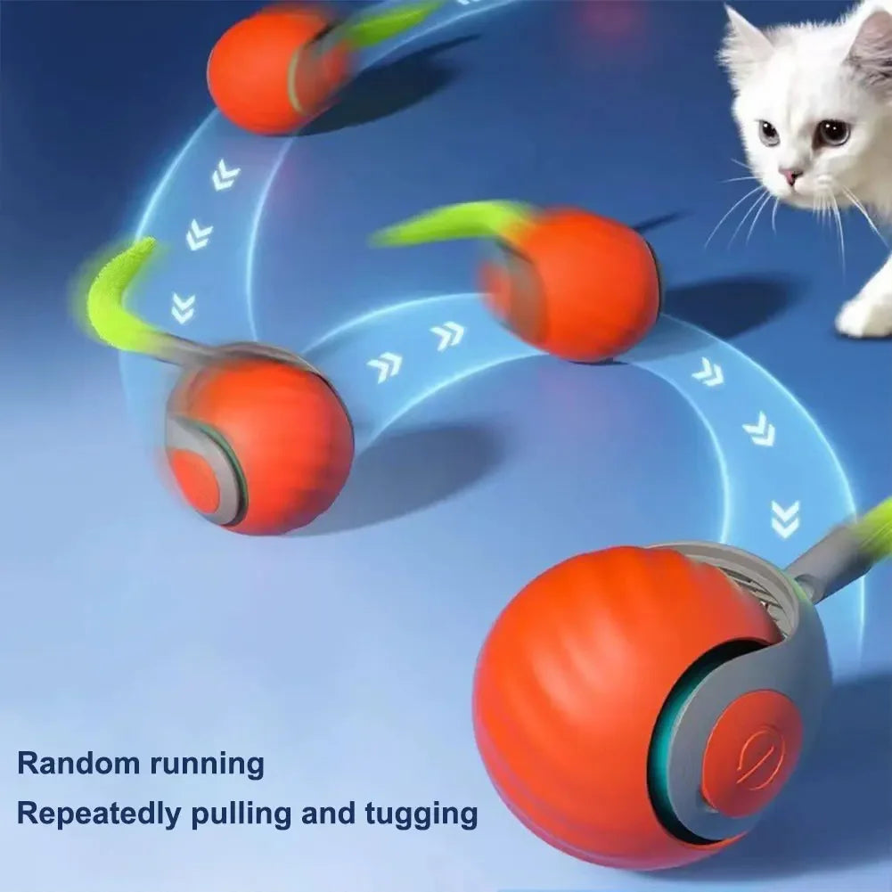 Automatic Moving Cat Toy Ball With Two Speed USB Tail - BarkHatch