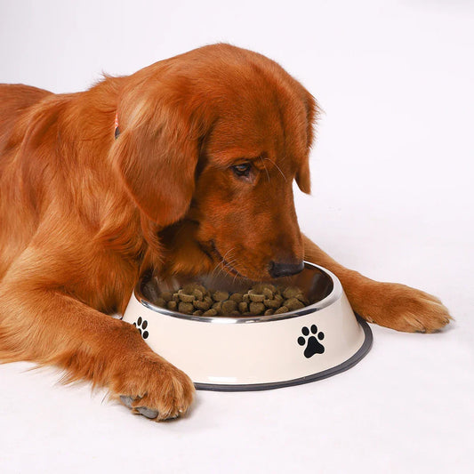 1PC Stainless Steel Pet Bowl Cat Bowl Dog Food Bowl Multi-Specification Anti-fall Food Bowl Food Bowl Feeding Pet Supplies - BarkHatch