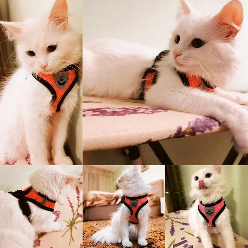 Breathable Mesh Pet Harness Reflective Leash Adjustable Small Dogs Cats - BarkHatch