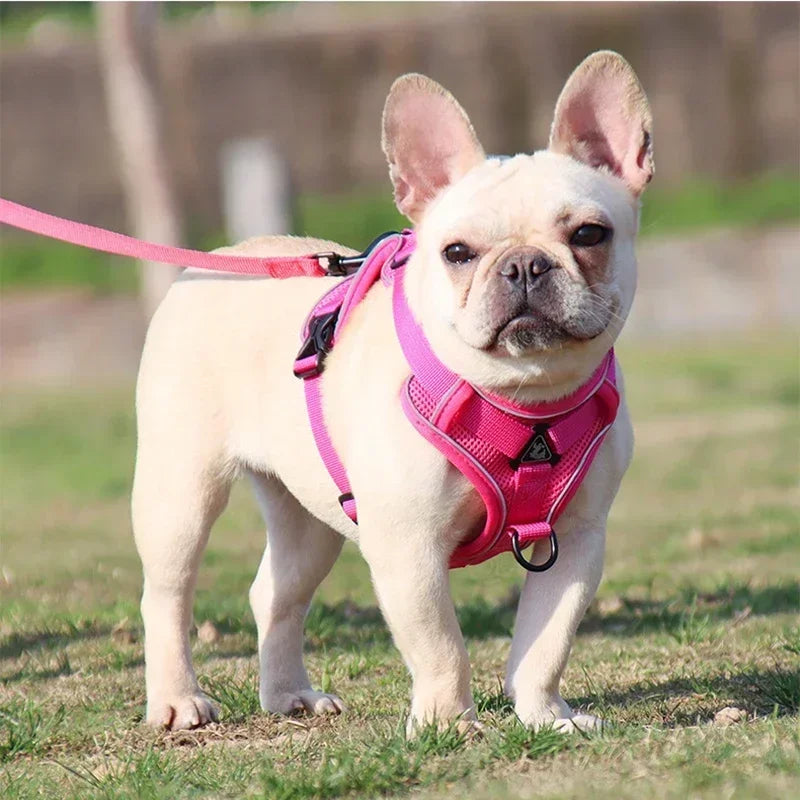 No Pull Dog Harness And Leash Set Reflective Mesh Vest - BarkHatch