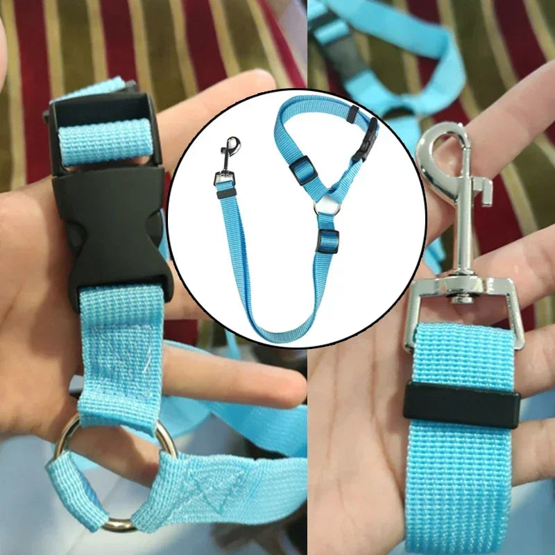 Solid Color Two In One Pet Car Seat Belt Nylon Leash - BarkHatch