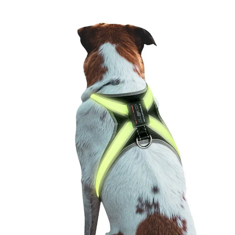 LED Color Changing Dog Harness Reflective Chest Collar - BarkHatch
