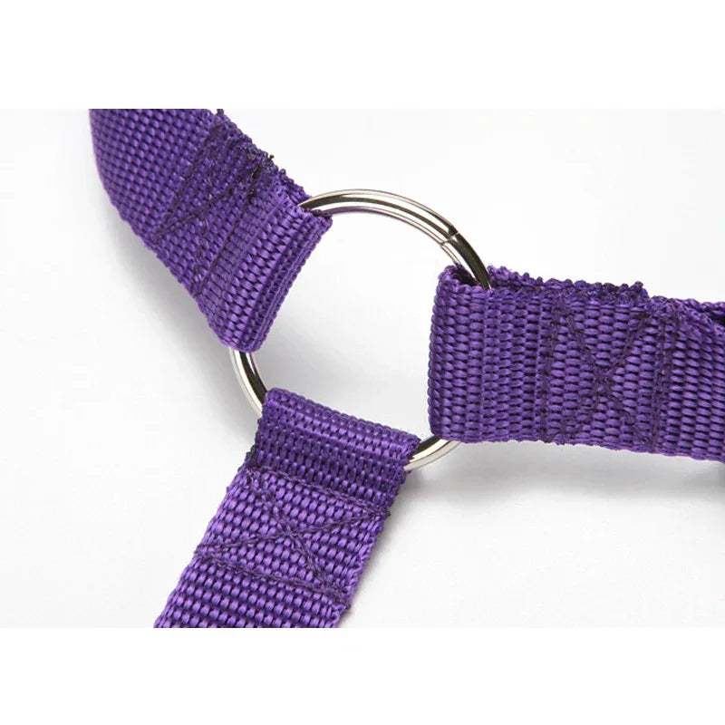 Solid Color Two In One Pet Car Seat Belt Nylon Leash - BarkHatch